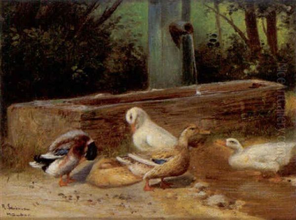 Enten Am Wassertrog - view 1