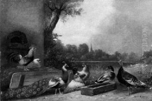 Federvieh Mit Huhnern, Pfau, Pute Und Ente Vor Stall An Einem Teich by Alfred Schoenian