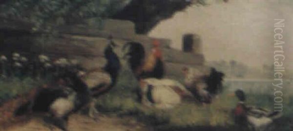 Strandmotiv Med Hons, Pafaglar Och Anka - view 1