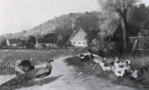 Pfau, Truthahn, Enten Und Huhner