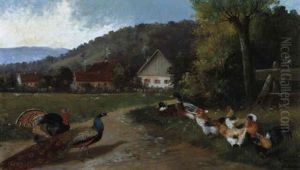 Federvieh In Landlicher Umgebung by Alfred Schoenian