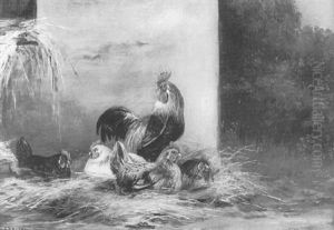 Hahn Mit Vier Hennen by Alfred Schoenian