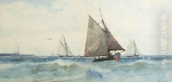 Sailboats - view 1