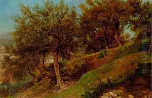Landschaft