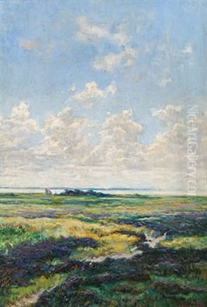 Dunenheide - view 1