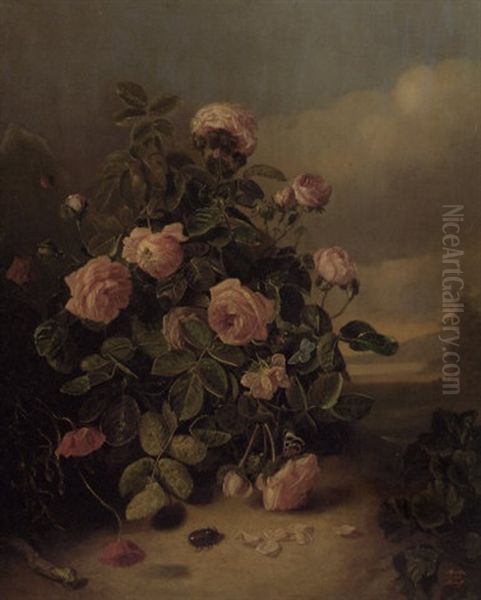 A Rosebush With Butterflies And A Dragonfly - view 1