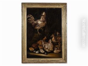 Rooster With Chicks