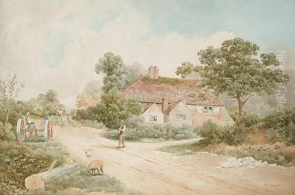 Rural Life In The Summer - view 1