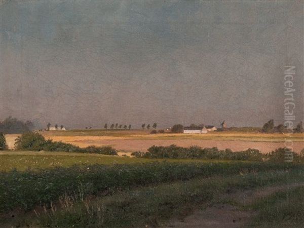 Landscape - view 1