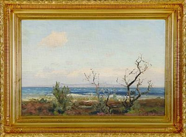 Coastal Scene - view 1