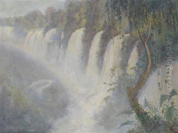The Falls Of Iguazu - view 1
