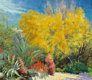 Blick In Einen Sonnenbeschienenen Garten In Chile Mit Voll Erbluhtem Forsythienstrauch, Agaven, Mimosen Und Lavendelbluten
