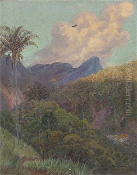 Sudamerikanische Landschaft - view 1