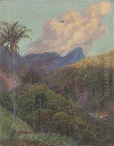 Sudamerikanische Landschaft