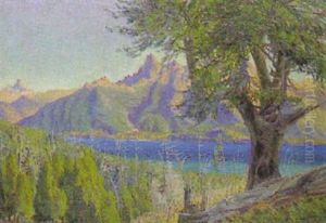 Bergsee In Argentinien (lago Nahuel Huapi)