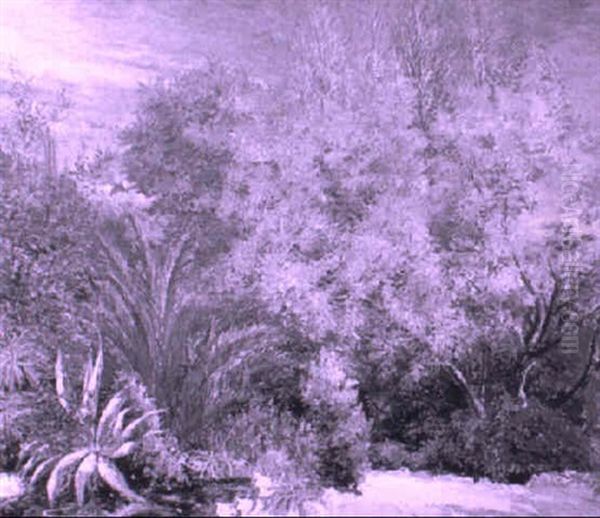 Flower Garden In Bloom - view 1