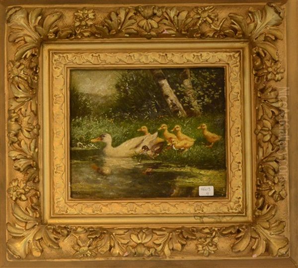 Canards - view 1