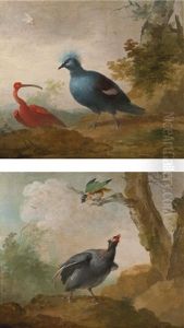 A Helmeted Guinea Fowl And A Black Headed Caique On A Branch And A Red Ibis And A Victoria Crowned Pigeon (pair) by Aert Schouman