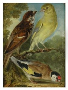 Drei Vogel by Aert Schouman