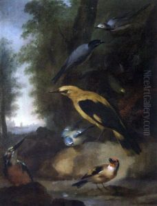 Oiseaux Dans Un Paysage