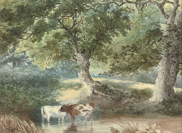Cattle Watering - view 1