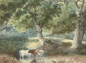 Cattle Watering by Stephen J. Bowers