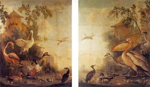 Oiseaux Decoratifs Dans Un Parc