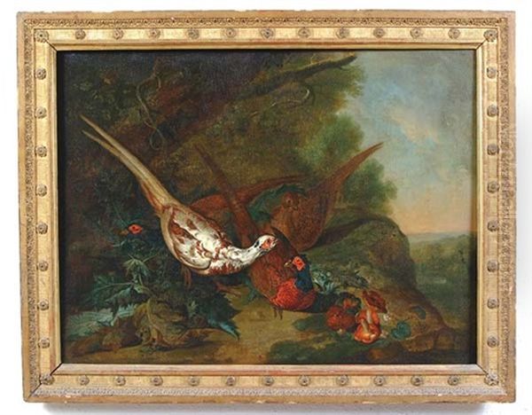 An Assembly Of Pheasants In A Landscape - view 1