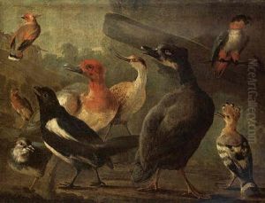 An Assembly Of Birds Including A Tufted Duck, A Magpie, A Hoopoe, A Parrot, A Parakeet, A Lapwing And A Curlew by Aert Schouman