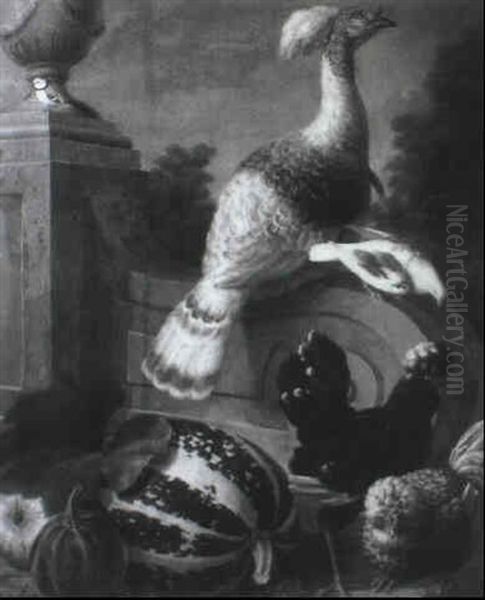 A Turkey, Pigeon, Chickens And A Blutit With A Marrow And Gourd In A Garden - view 1