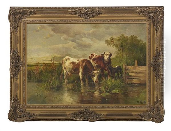 Cattle And A Young Calf Watering - view 1