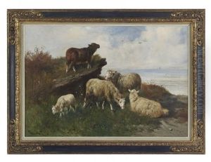Ewes And Lambs
