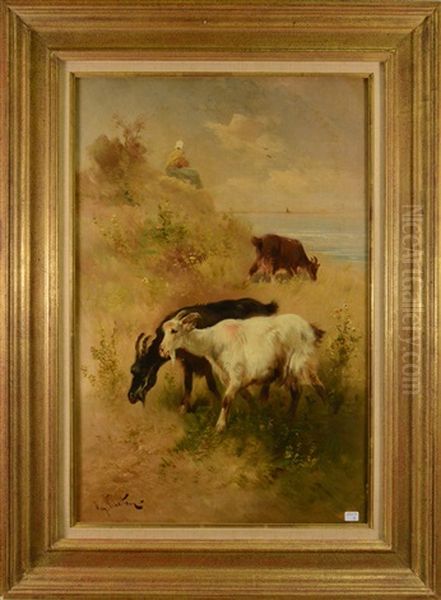 Chevres Dans Dunes - view 1