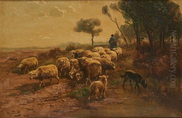 La Conduite Du Troupeau De Moutons - view 1