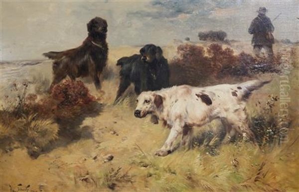 Setters In The Field - view 1