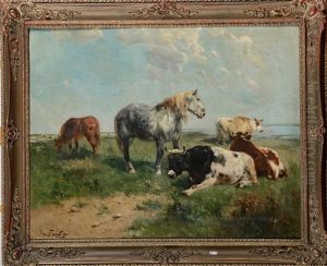 Vaches Et Chevaux Au Pre En Bord De Mer