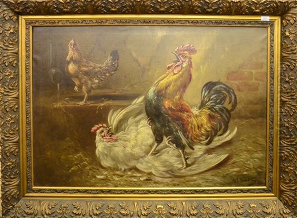 Poules - view 1