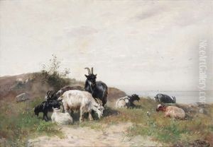 Boucs Et Moutons A La Cote by Henry Schouten