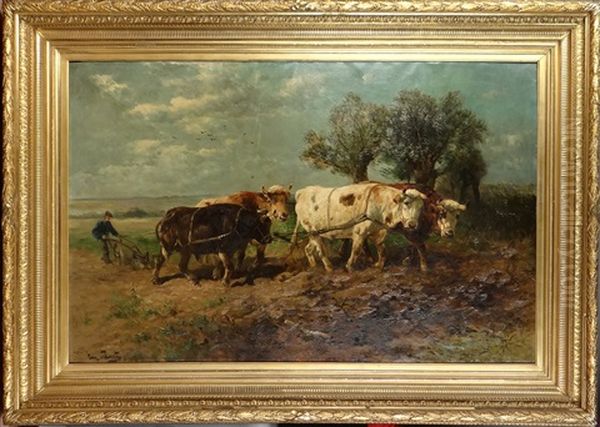 Boeufs Tirant Une Charrue - view 1