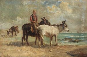 Pecheur Et Anes A La Plage Pecheur Et Anes A La Plage