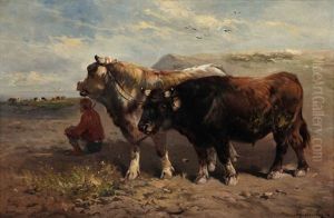 Paysan Avec Vaches A La Plage