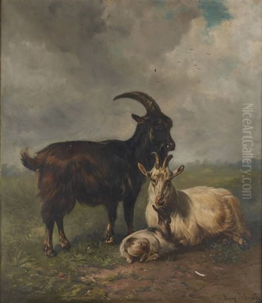 Chevres Et Chevreau Sur Fond De Paysage - view 1