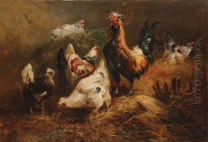 Coq Et Poules Pres Du Foin Coq Et Poules Pres Du Foin