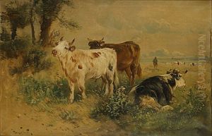 Vee In Een Glooiend Landschap