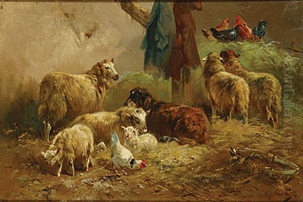 Schapen En Kippen Bij De Stal - view 1