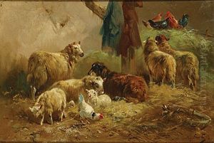 Schapen En Kippen Bij De Stal Schapen En Kippen Bij De Stal