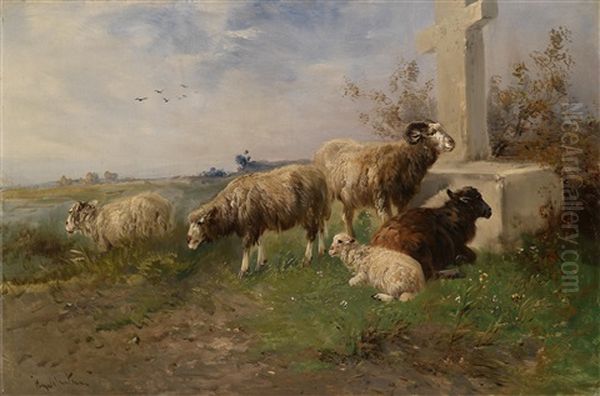 Schafe Auf Der Weide - view 1