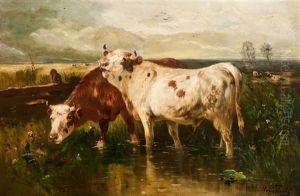 Polderlandschap Met Vee Bij De Drinkplaats