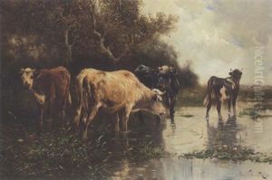 Kuhe Im Seichten Wasser Eines Teiches Kuhe Im Seichten Wasser Eines Teiches