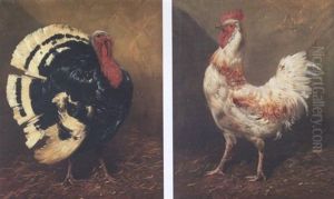 A Turkey A Turkey